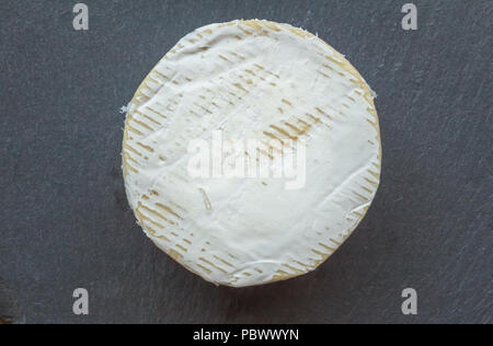 Camembert Käse auf schwarzem Schiefer Käsebrett isoliert - Ansicht von oben Foto von ganzen uncut Runde Stockfoto