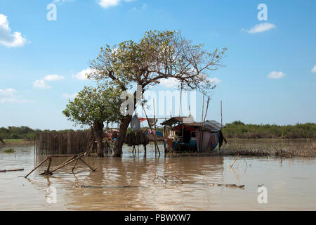 Sangker River, Provinz Battambang Kambodscha, Fishing Camp in der Mitte des Flusses in der trockenen Jahreszeit Stockfoto