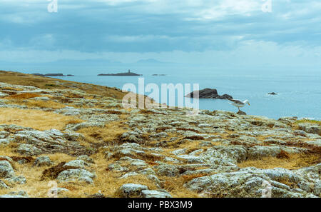 Eine Ansicht von um rhoscolyn Kopf auf der Insel Anglesey in Richtung kleine Inseln mit einem Turm. Am 18. Juli 2018 entnommen. Stockfoto