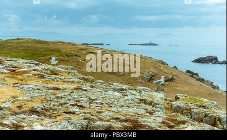 Eine Ansicht von um rhoscolyn Kopf auf der Insel Anglesey in Richtung kleine Inseln mit einem Turm. Am 18. Juli 2018 entnommen. Stockfoto