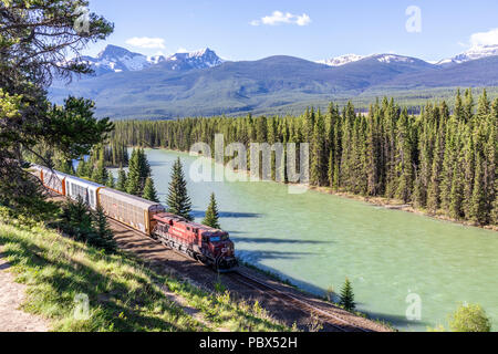 Ein Güterzug auf der Canadian Pacific Railway neben dem Bow River und Rocky Mountains auf Schloss Ausfahrt NW von Banff, Alberta, Kanada läuft
