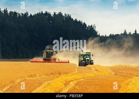 Ernte - Mähdrescher laden Körner in einem Traktor Anhänger auf dem Feld Stockfoto