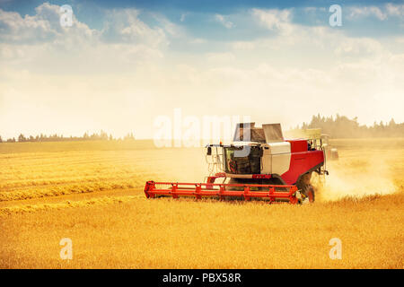 Mähdrescher arbeiten auf goldenen Müsli Feld Stockfoto