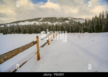 Schnee bedeckt Holzzaun im Winter Stockfoto
