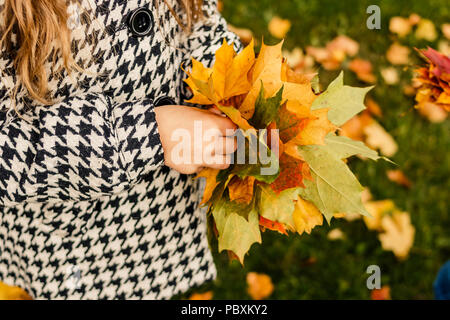 Mädchen in Mantel halten Sie schöne helle Blätter in zwei Händen, Klein, Gelb und Grün maple leaf. Unscharfe Gras und Laub auf den Hintergrund, von oben nach unten gedreht. September Kalender Stockfoto