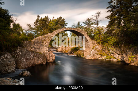 Alte packesel Brücke, Carrbridge, Scottish Highlands, Schottland, Großbritannien, Europa Stockfoto