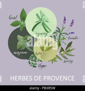Kräuter der Provence. Hand geschriebenen Namen. Aromatische Kräuter kochen Stock Vektor
