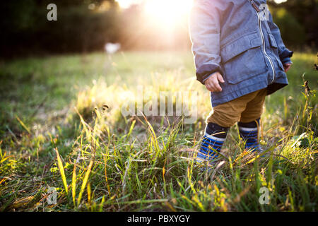 Ein kleines Kind Junge draußen auf einer Wiese bei Sonnenuntergang. Ansicht von hinten. Stockfoto