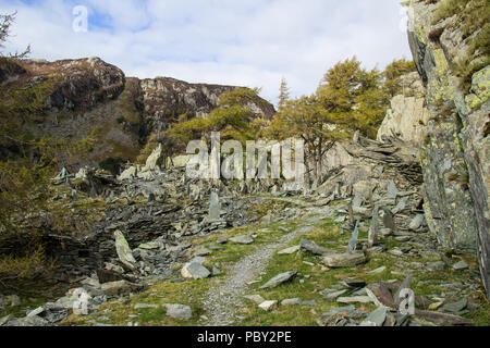 Schloss Crag, Lake District National Park, Großbritannien. Borger Dalr Geologie, Borrowdale-tal Stockfoto