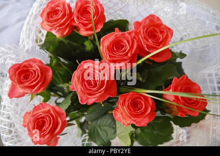 Strauß roter Rosen, Nahaufnahme Stockfoto