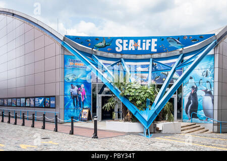 National Sea Life Centre, Birmingham, England, Großbritannien Stockfoto