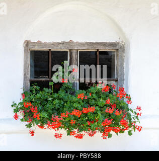 Vintage Fenster eines historischen alten Haus, dekoriert mit Blumen Stockfoto