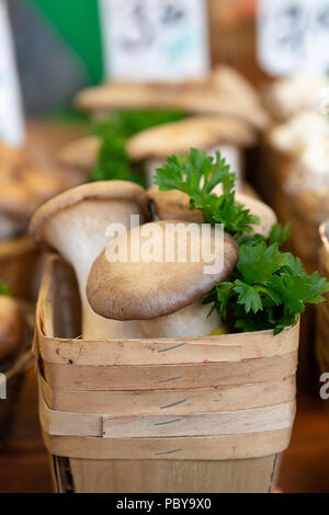 Boxen von Austernpilzen, Pleurotus ostreatus, zum Verkauf auf dem Markt. Die Portionen sind in Kisten aus Holz und mit einem geschweiften Petersilie garnieren angezeigt. Stockfoto
