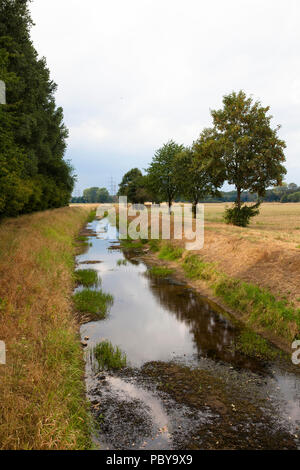 Extreme Ebbe auf den Fluss Issel in der Nähe von Wesel, 28. Juli. 2018, Deutschland. extreme Niedrigwasser der Issel bei Wesel am 28.07.2018, Deutschland. Stockfoto