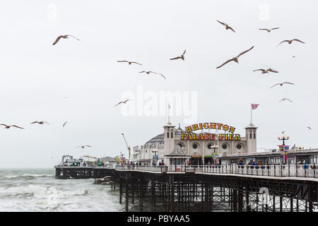 Möwen und stürmischer See an einem miserablen Sommer in Brighton Palace Pier Stockfoto