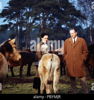 Karl Emanuel, 14. Herzog von Croy mit Ehefrau Gabriele Prinzessin von Bayern und stand Dülmener Wildpferden in Dülmen, Deutschland 1981. Karl Emanuel, 14 Herzog von Croy mit seiner Frau Gabriele Prinzessin von Bayern und ihre wilden Pferde in Duelmen, Deutschland 1981. Stockfoto