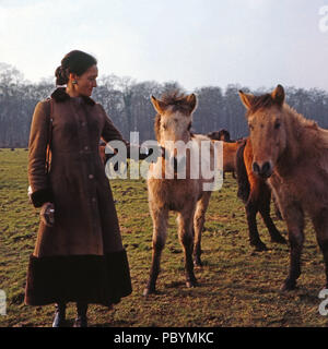 Gabriel Herzogin von Croy und your Dülmener Wildpferden in Dülmen, Deutschland 1981. Gabriele Herzogin von Croy und ihre wilden Pferde in Duelmen, Deutschland 1981. Stockfoto