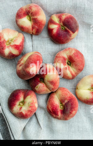Saturn Pfirsiche Blick von oben (Prunus Persica) Stockfoto