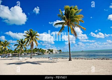 Ein Blick auf den Atlantik vom Ufer in Islamorada, Florida, USA Stockfoto