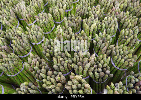 Gebündelte spargelspitzen gesehen von oben Stockfoto