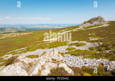 Landschaft Stiperstones, Shropshire, Großbritannien Stockfoto