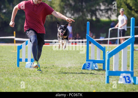 Hund mit Handler vaulting Hürde in Agility trial Stockfoto