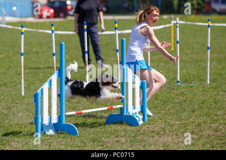 Hund mit Handler vaulting Hürde in Agility trial Stockfoto