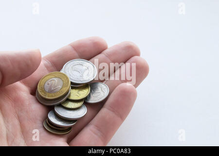 Polnischer Zloty Münzen in der Hand auf weißem Hintergrund. Isoliert Stockfoto