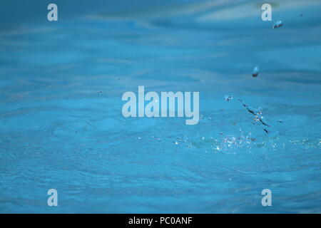 Wassertropfen in einem blauen Pool Stockfoto