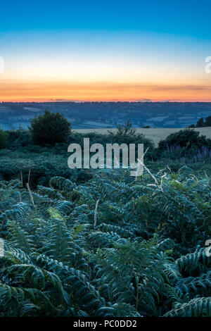 Dumpdon Hill Fort, die schöne Otter Valley in der Nähe von Beacon, Honiton, Devon, Großbritannien. Britische Landschaft bei Sonnenuntergang. Stockfoto