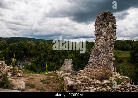 Kroatien: bewölkt und stürmischen Wetter mit gelben Blüten und die Ruinen der Burg der Altstadt von Drežnik, Dorf im See Pliitvice Stockfoto