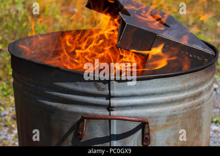 Verbrennung von Papier und Karton in dem kleinen Garten Nachverbrennungsanlage Stockfoto