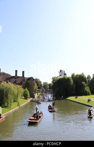 Menschen stochern auf dem Fluss Cam in Cambridge Stockfoto