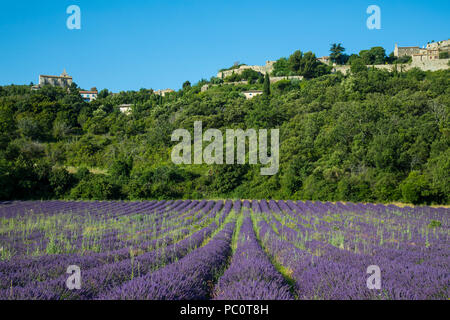 Saignon, Vaucluse, Provence, Frankreich, Europa Stockfoto