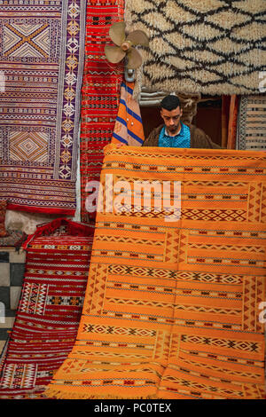 Teppich Händler zeigt eine marokkanische Teppich, der Souk in der Medina, Fès, Marrakesch, Marokko, Afrika Stockfoto