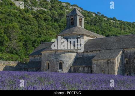 Abbaye Notre-Dame de Sénanque, Gordes, Vaucluse, Provence, Frankreich, Europa Stockfoto