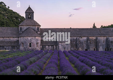 Abbaye Notre-Dame de Sénanque, Gordes, Vaucluse, Provence, Frankreich, Europa Stockfoto