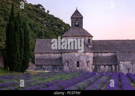 Abbaye Notre-Dame de Sénanque, Gordes, Vaucluse, Provence, Frankreich, Europa Stockfoto
