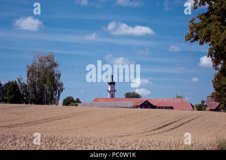 DE - Baden-Württemberg: Blick auf St. Peter und Paul Kirche Laupheim Stockfoto