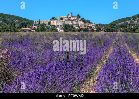 Banon, Alpes-de-Haute-Provence, Frankreich, Europa Stockfoto