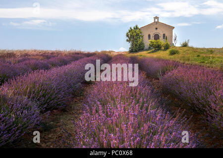 Entrevennes, Alpes-de-Haute-Provence, Provence, Frankreich Stockfoto