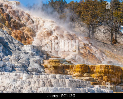 Mammoth Hot Springs Terrassen im Winter im Yellowstone National Park Stockfoto