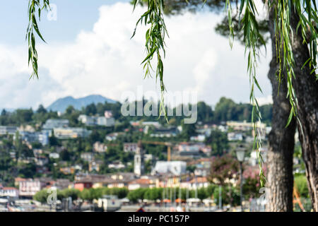 Ascona historische Stadt am Mittelmeer, am Lago Maggiore in der Nähe von Locarno im Kanton Tessin in der Schweiz wit Baum vor Stockfoto