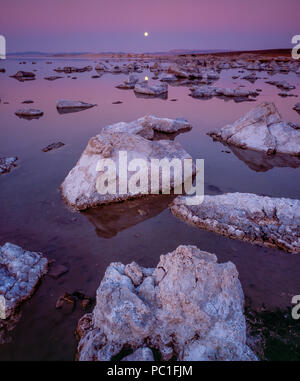 Dämmerung, Mondaufgang, Mono Lake, Mono Basin National Forest Scenic Area, Inyo National Forest, Kalifornien Stockfoto