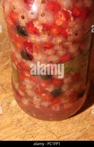 Rot Weiß und Schwarzen Johannisbeeren und Zitronenverbene aufweichend in ein Glas mit Wasser in einen Strauch zu Ribes rubrum/nigrum Aloysia citrodora Stockfoto