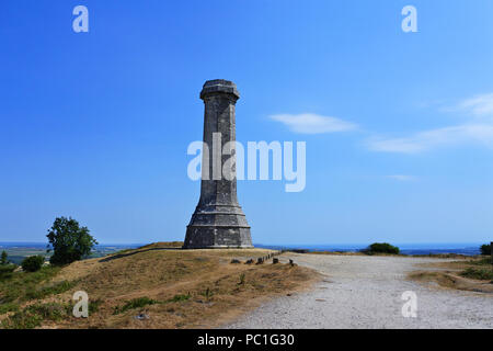 Die Hardy Denkmal, Vice Admiral Sir Thomas Hardy gewidmet, im Besitz des National Trust, Dorset, Großbritannien - Johannes Gollop Stockfoto