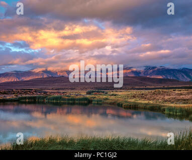 Sunrise, Feuchtgebiete, Mono Basin National Forest Scenic Area, Inyo National Forest, östlichen Sierra, Kalifornien