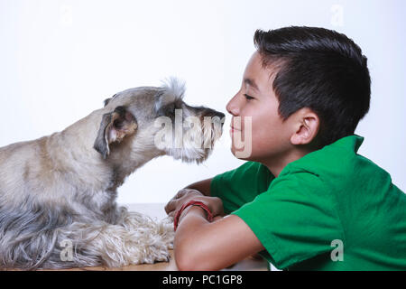 Ein Junge und ein Zwergschnauzer teilen einige kleben zusammen Zeit in diesem Studio Foto. Stockfoto