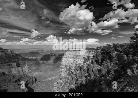 Angel's Fenster - North Rim des Grand Canyon, AZ Stockfoto