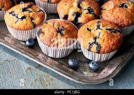 Leckere blueberry muffins auf alten Backblech sitzen auf rustikalen Holztisch, text Raum Stockfoto